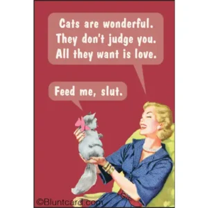 cats are wonderful magnet
