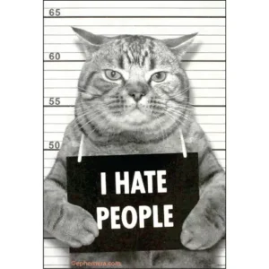 i hate people magnet