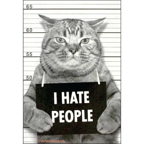 i hate people magnet i hate people magnet