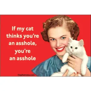 if my cat thinks your an asshole magnet