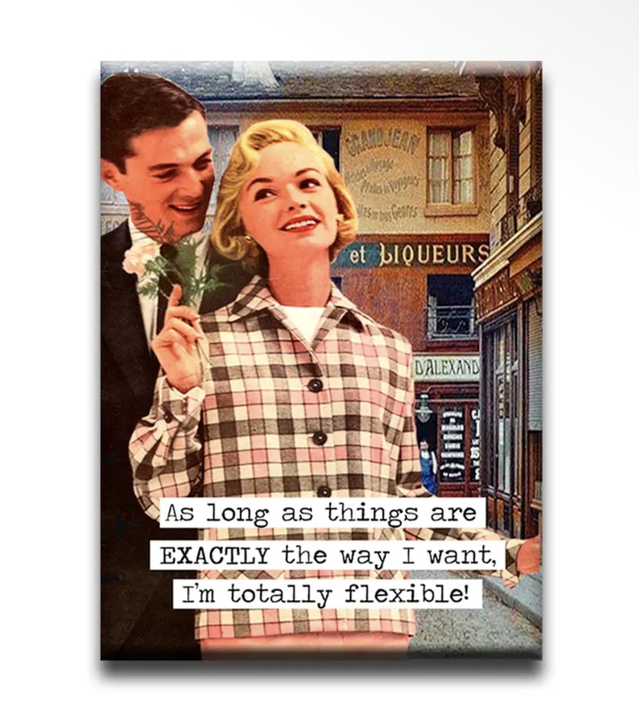 As long as things are EXACTLY the way I want, I am totally flexible Magnet
